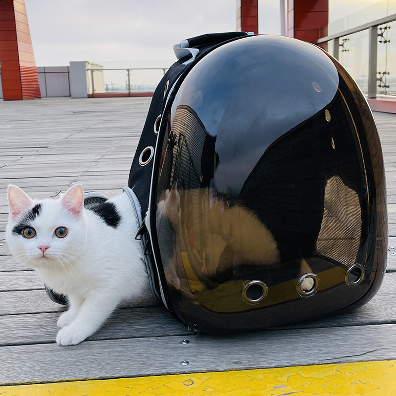 猫包外出便携背包太空舱猫咪双肩书包宠物包兔子猫笼透明狗包小狗 - 图1