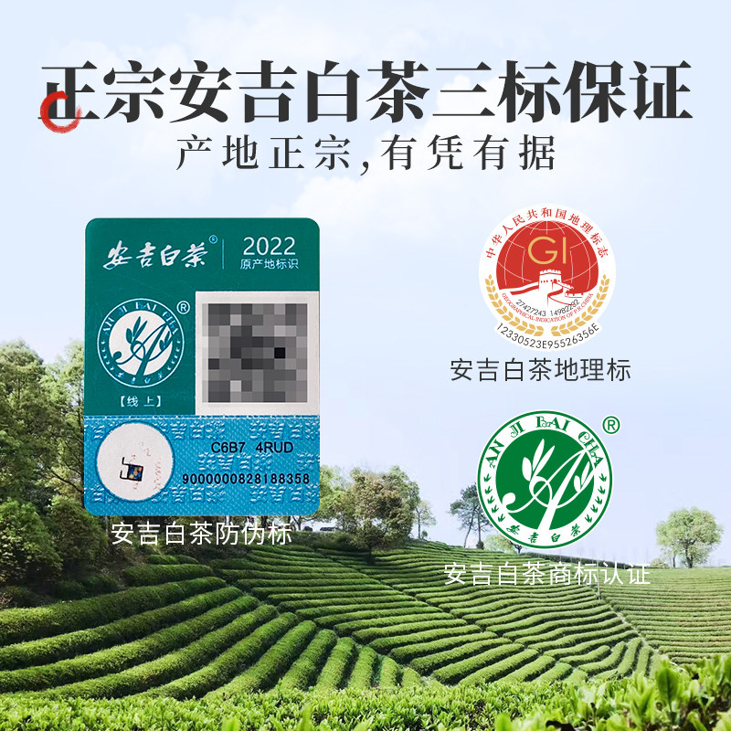 2023年新茶上市明前特级精品安吉白茶250g正宗茶叶绿茶官方旗舰店_虎窝淘
