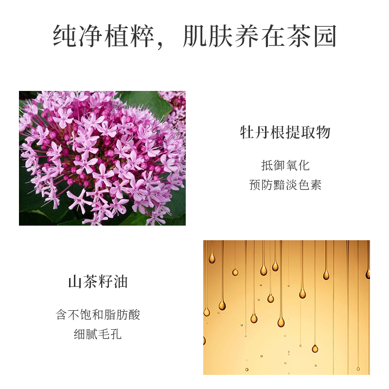 tesoridoriente也美特专卖意大利进口东方宝石山茶花滋养霜滋润保湿润肤乳留香身体乳液套装2