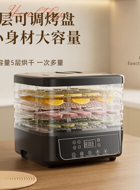 110v干果机食品水果烘干机风干器
