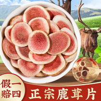 Antler Pieces Dry Blood Sheet Special Grade Corner Sheet Official Flagship Store Bubble Wine Exclusive Chinese Herbal Medicine Whole Deer Corner Male