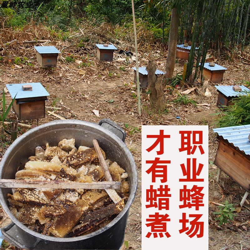 中蜂蜜蜂群土蜂养殖中蜂蜡诱蜂水诱蜂神器蜡块野外诱土蜂桶诱蜂药 - 图1