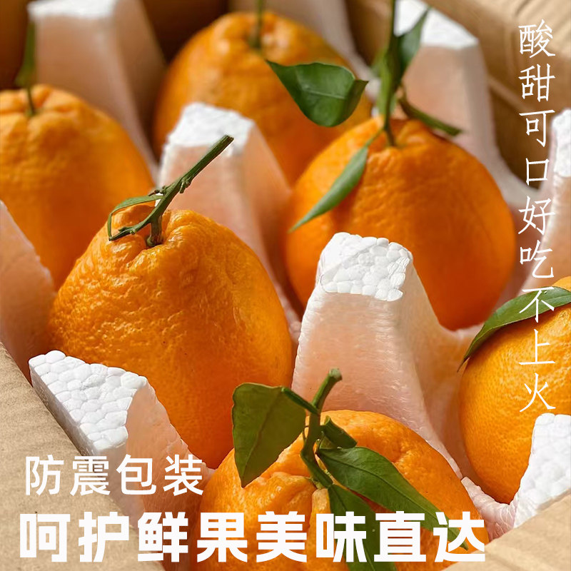 四川丑橘不知火橘子新鲜水果5斤当季整箱桔子耙耙粑粑正宗丑八怪