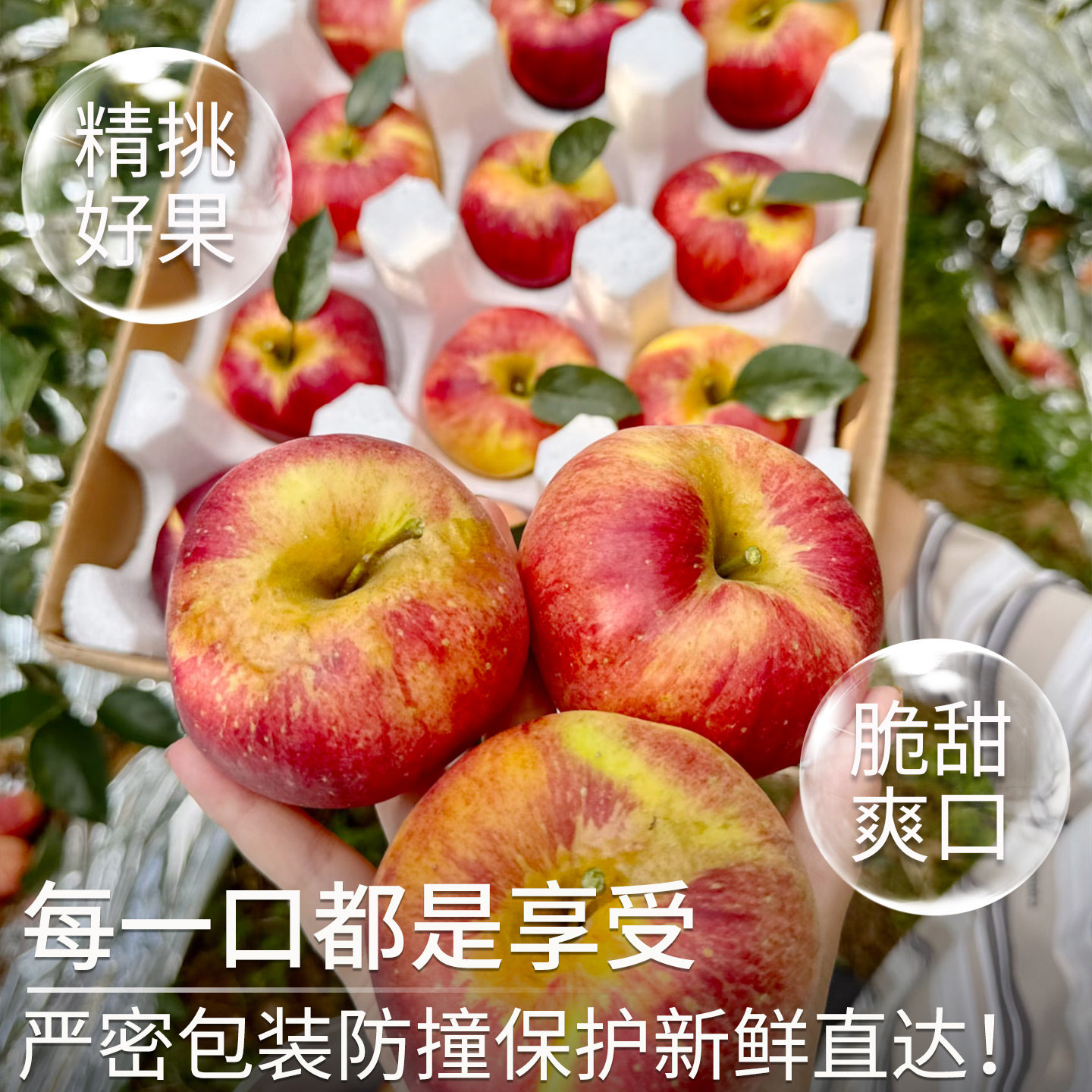 图 3