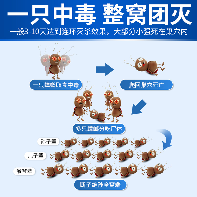 蟑螂一窝端家用厨房强力饵剂药粉 科凌虫控淘美灭鼠/杀虫剂