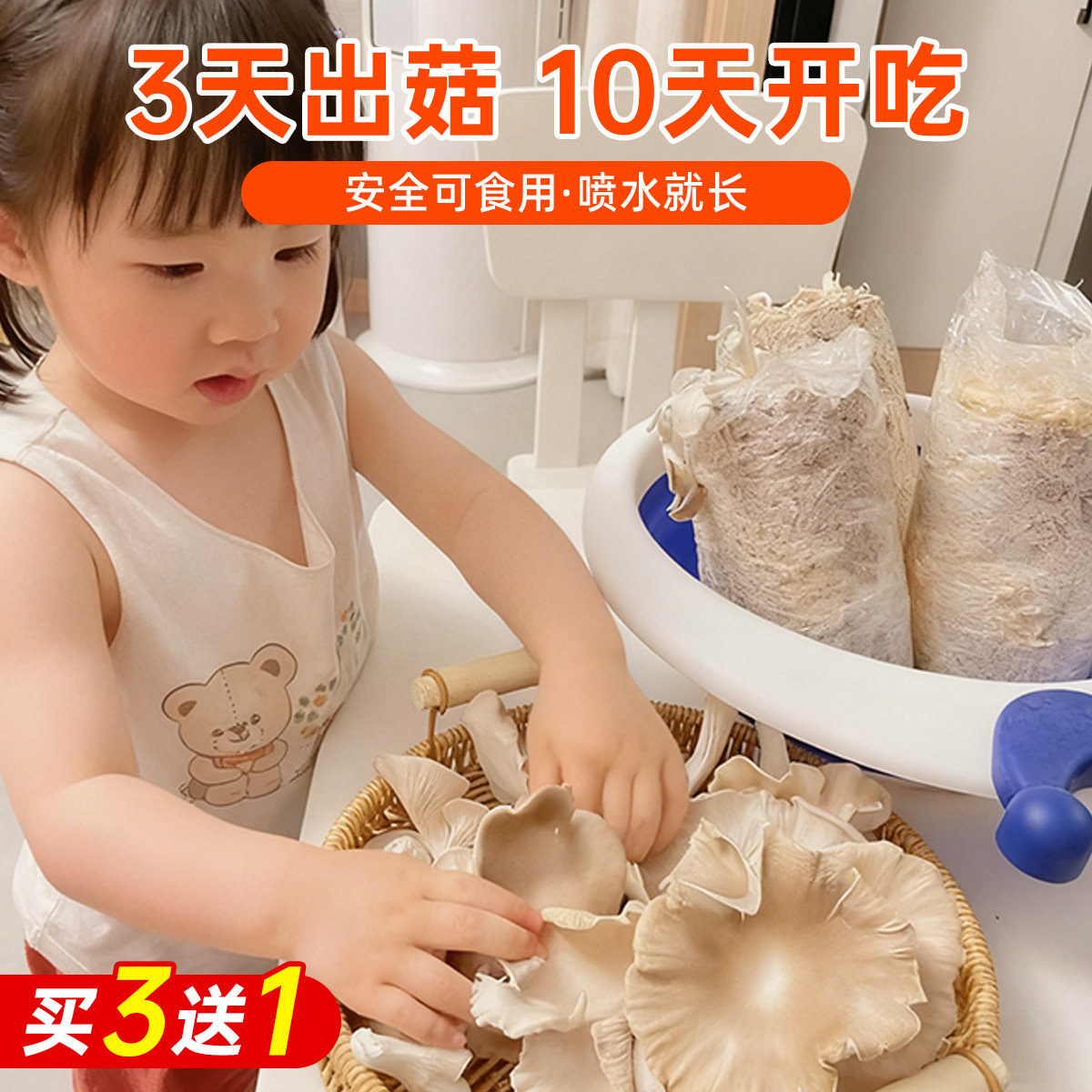 新鲜蘑菇种植菌包家庭食用儿童黑平菇香菇袋装大包自种菌棒小盆栽,淘宝优惠券,粉丝福利购,淘宝优惠卷