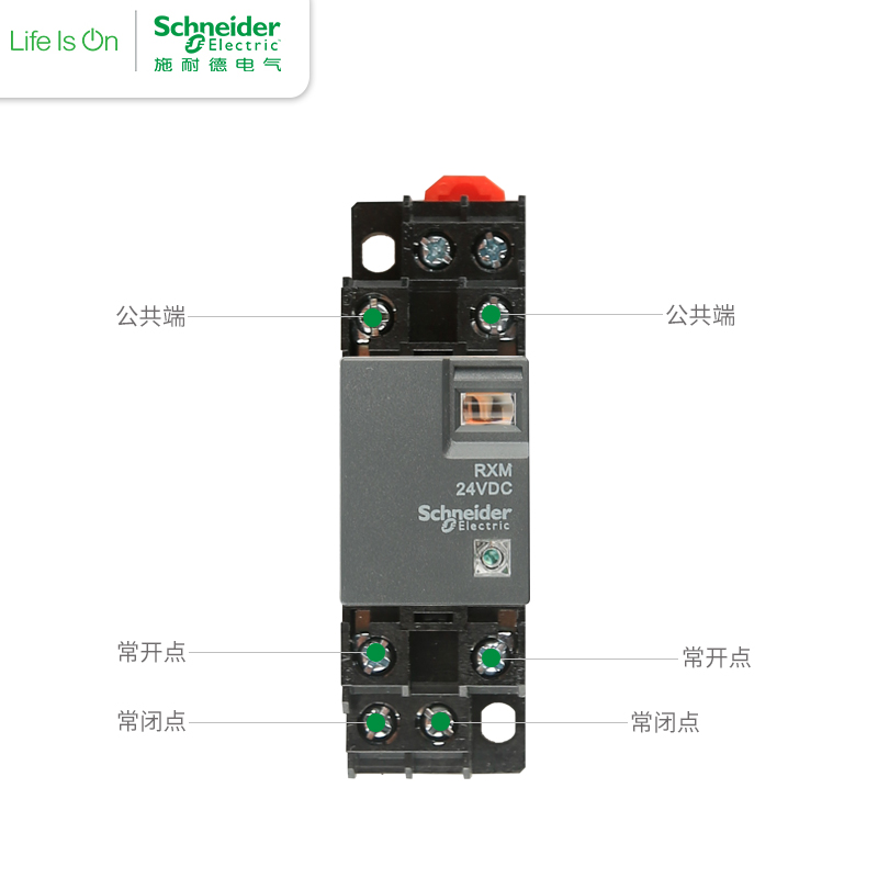 施耐德中间继电器RXM2LB2BD二开二闭8脚24V带底座RXM4LB2P7 220V - 图2