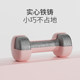 Plastic-impregnated dumbbells for women, non-slip small dumbbells for home fitness