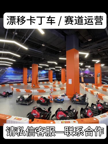 Razor锐哲 CrazyCart XL 周杰伦抖音同款 网红漂移车 卡丁车 2人 - 图0