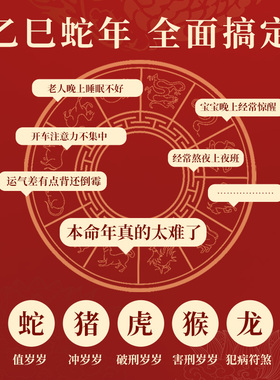 2025蛇年本命年红绳手链