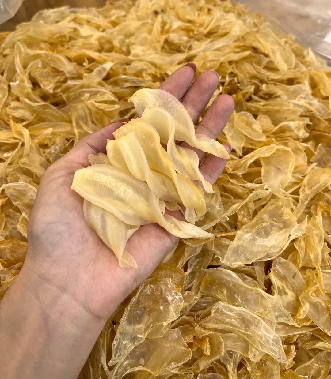 鱼胶花胶干货500g正品深海安南竹叶胶鱼肚鱼泡鱼鳔干孕妇月子滋补
