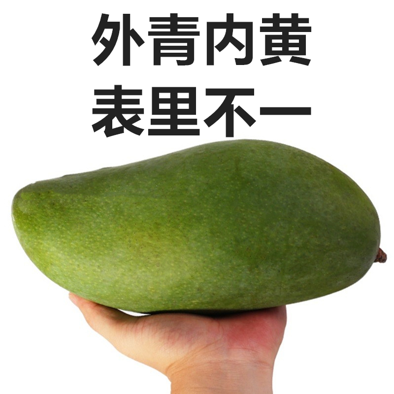 晨洁旗舰店吃货正常发货越南大青芒青皮芒果特大新鲜助农超大带箱10斤包邮0