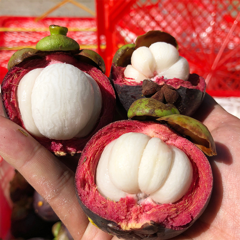 晨洁旗舰店山竹新鲜水果包邮泰国进口山足当季5斤整箱孕妇热带特产2