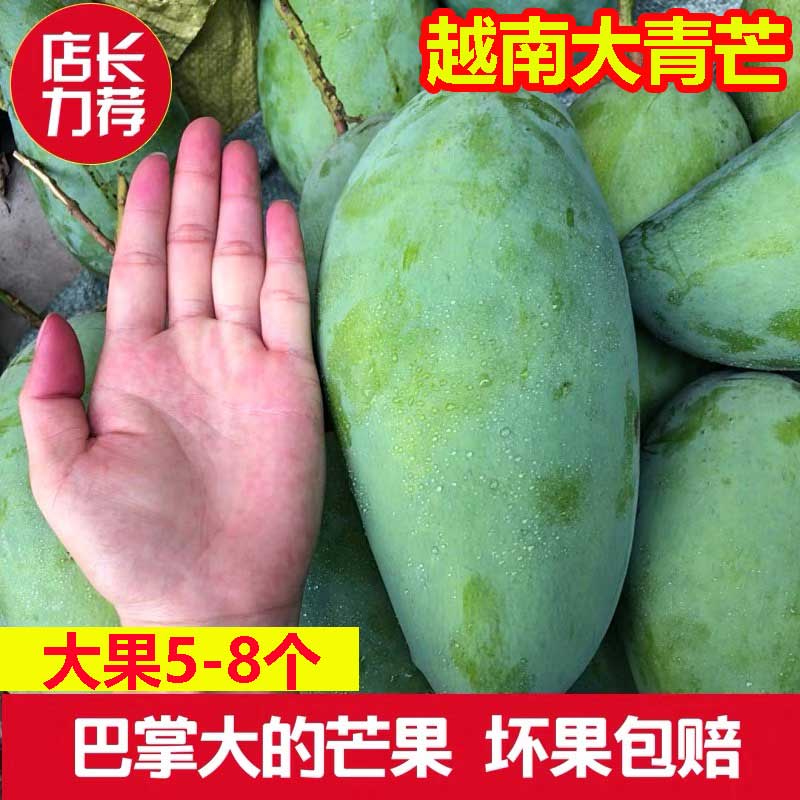 晨洁旗舰店越南大青芒新鲜当季水果特大青芒果带箱10斤包邮大现摘现发0