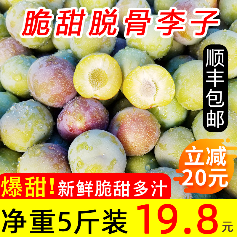 晨洁旗舰店四川脆甜脱骨李子新鲜茵红三华李现摘当季水果半边红整箱5斤包邮2