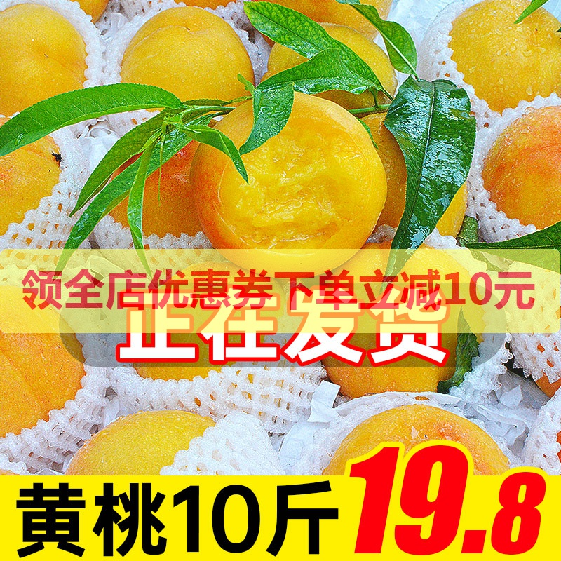 晨洁旗舰店现摘现发黄桃10斤新鲜桃子当季孕妇水果脆桃整箱包邮应季黄心桃1