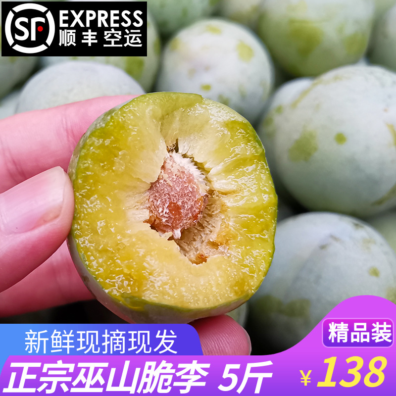 晨洁旗舰店重庆巫山脆李清脆空心脱骨新鲜青李子孕妇水果现摘现发5斤包邮0