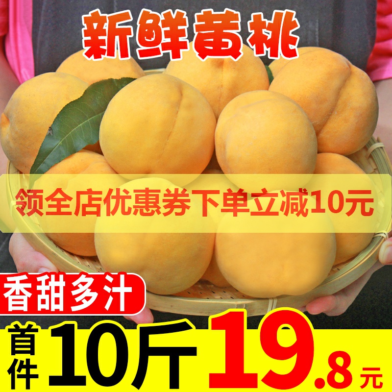 晨洁旗舰店果园现摘黄桃当季新鲜孕妇水果10斤装时令蜜桃脆桃黄桃子整箱包邮1