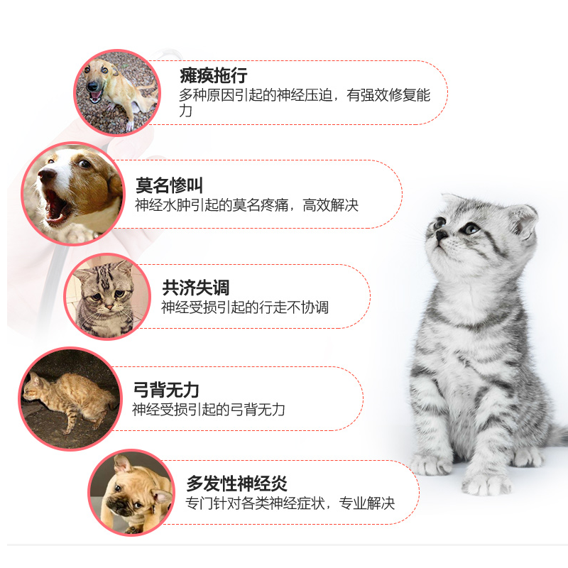 拜恩LA3000安迪康狗猫营养神经炎脑膜炎犬瘟热后遗症宠物抽搐癫痫-图0