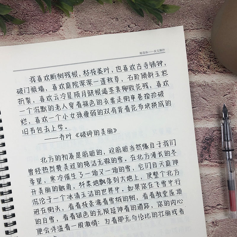 鲸落体字帖女生漂亮手写文案宫崎骏朗读者央视金句高中生硬笔练字 - 图0