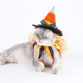 Geezer Cat Clothes Halloween Hat Ghost Festival Cloak Pet Transformation Hat Autumn and Winter Funny Festival Set