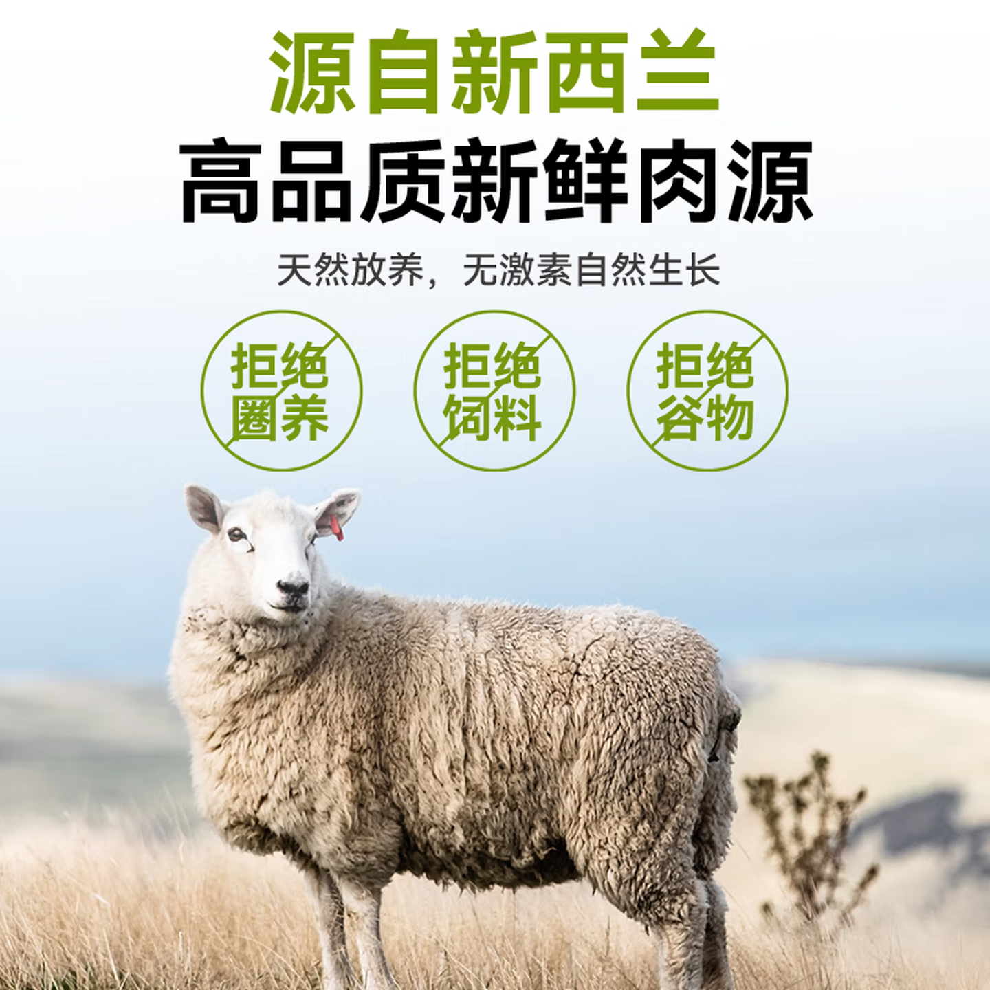 zeal猫罐头主食罐美毛健体拌饭全猫鸡肉白肉罐头无谷低敏170g*8,淘宝优惠券,粉丝福利购,淘宝优惠卷