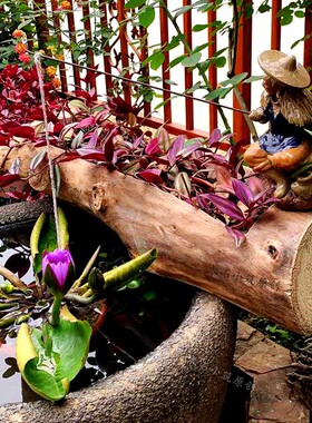 鱼缸流水摆件木头槽景观造景水流过滤绿植盆栽家用木头花盆洗手池