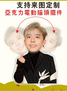 mirror吕爵安电动摇头摆件