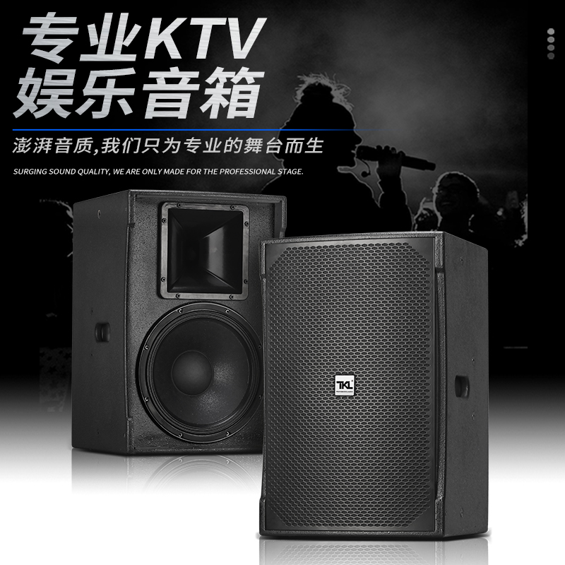 TKL 12-inch high-power KTV special speaker