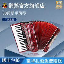 Parrot plates YW-870 accordion 37 keys 80 bass Adult Assays beginner to play beginners instruments