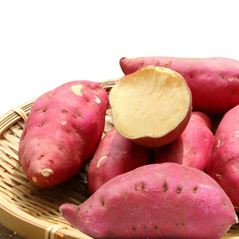 海南澄迈桥头富硒地瓜新鲜板粟山芋 果缘芬番薯