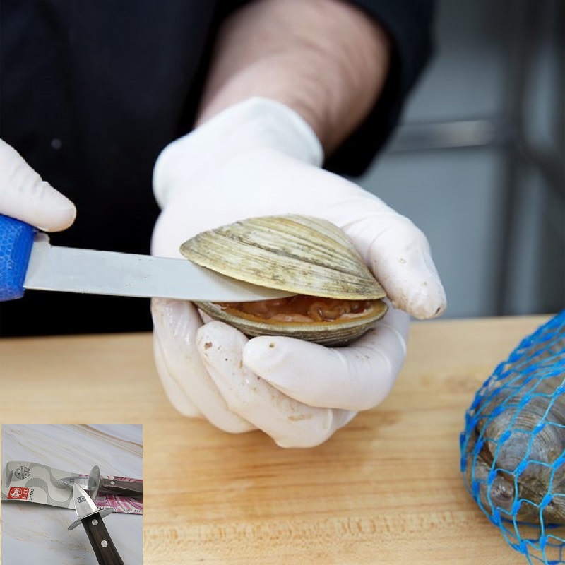 葡萄牙ICEL开耗刀鱼生牡蛎贝壳海鲜刀木柄海蛎子撬刀开生耗工具 - 图0