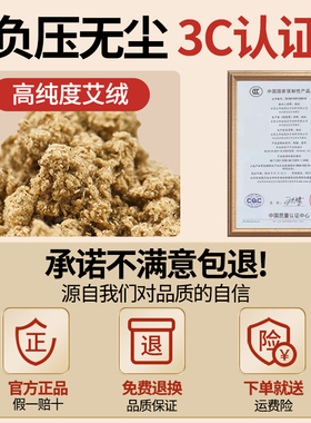 艾灸宝电加热家用熏蒸仪随身灸艾草热敷包暖宫胃腰带理疗袋