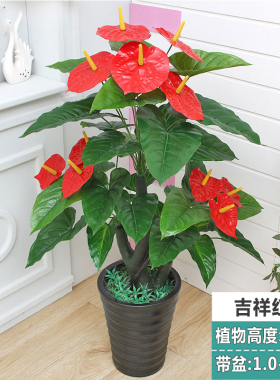 吉祥红掌假花仿生花绿植落地盆栽