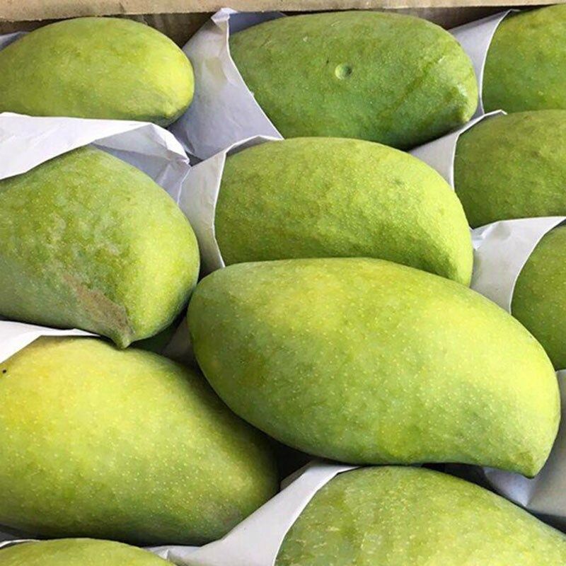 乐知果旗舰店云南鹰嘴芒含箱10斤芒果新鲜水果应当季甜心青皮整箱大忙果包邮1