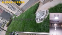 Light pipe lighting system Giupreferably blue light guided daylight lighting underground garage plant sunshine import energy saving lamps