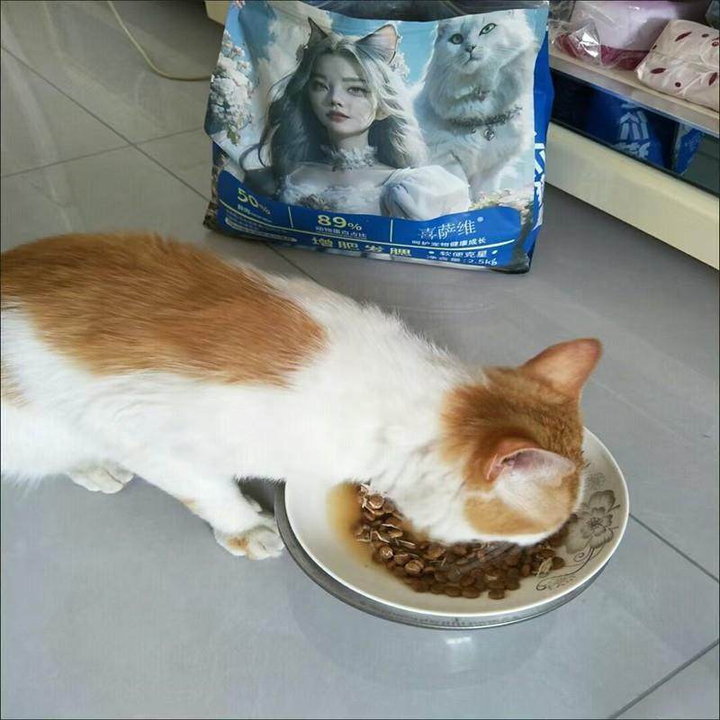 喜萨维卵磷脂鱼油冻干16拼一半冻干一半粮猫咪成猫幼通用无谷鲜肉,淘宝优惠券,粉丝福利购,淘宝优惠卷