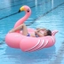 Net đỏ hồng vàng flamingo bơi vòng ghế động vật đồ chơi bơm hơi nổi giường hàng trẻ em gắn nước - Cao su nổi