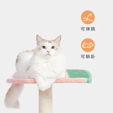 Непредоходная фруктовая кошка поднимается на вишневого оранжевого персикового персикового многослойного кота, захватывающая колонна кошачья принадлежности для кошачьего кошачьего дерева интегрировано