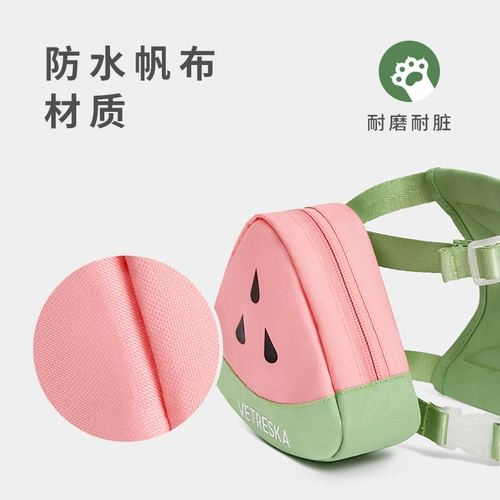 Рюкзак с поводком, защитная майка топ, кактус