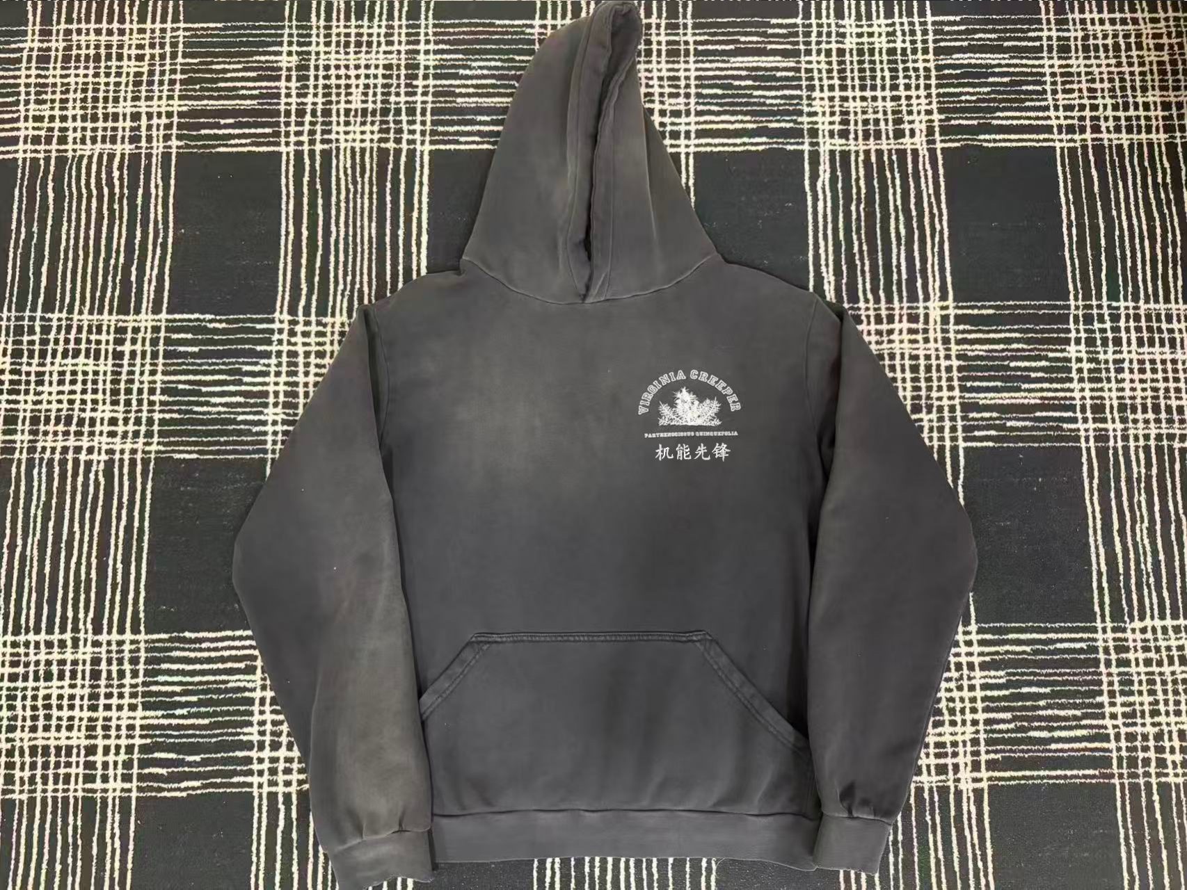 Raf Simons Virginia Creeper Hoodie Gray