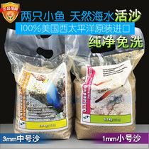 Two small fish live sand natural sea water living sand fish tank bottom sand free of washing method red sand bottom sand sea sand free of sea mud