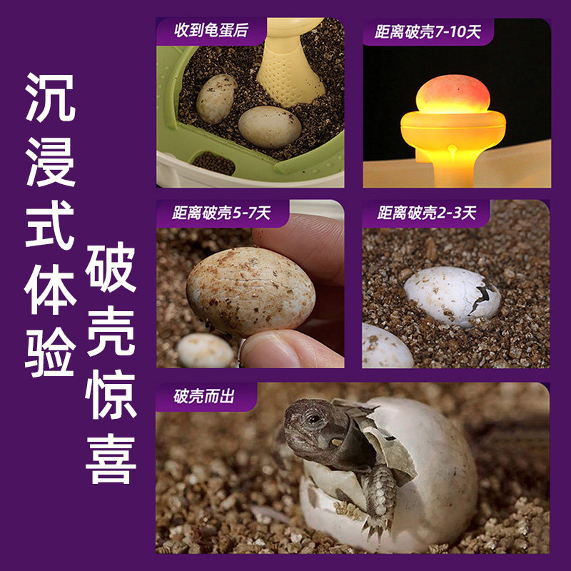 儿童生日礼物男孩的10送女孩子6岁以上8玩具女童网红爆款小学生六