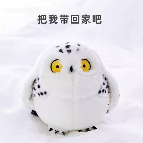 博物文创雪鸮小猫头鹰女孩毛绒玩具小鸟玩偶女生公仔鸟类动物抱枕 - 图2