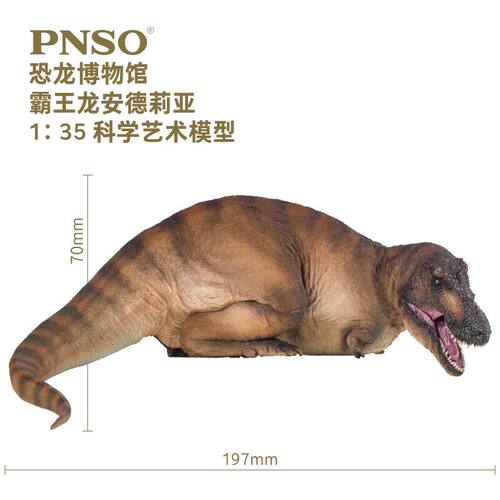 PNSO霸王龙安德莉亚恐龙博物馆1比35科学艺术模型 - 图0