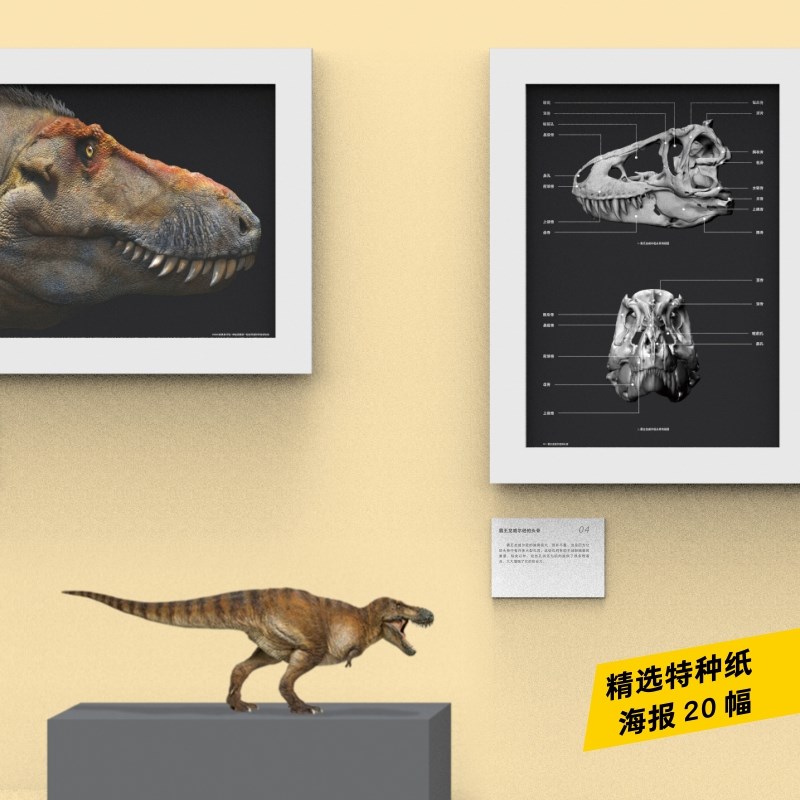PNSO霸王龙威尔逊恐龙博物馆1比35科学艺术模型 - 图2