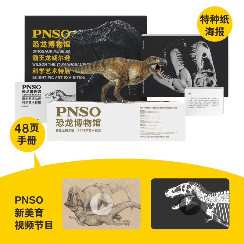 PNSO霸王龙威尔逊恐龙博物馆1比35科学艺术模型 - 图0