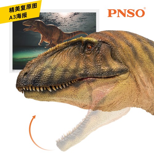 PNSO鲨齿龙甘巴恐龙大王成长陪伴模型50 - 图1