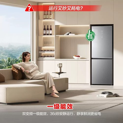 容声BCD-340WVS1DPC两门双门家用冰箱风冷无霜节能变频一级等级机 - 图2