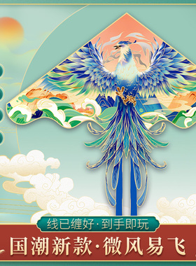 微风易飞潍坊风筝山东潍坊